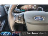 Ford Focus Turnier bei Gebrauchtwagen.expert - Abbildung (14 / 15)
