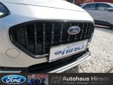 Ford Fiesta bei Gebrauchtwagen.expert - Abbildung (4 / 15)