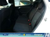 Ford Fiesta bei Gebrauchtwagen.expert - Abbildung (11 / 15)