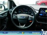 Ford Fiesta bei Gebrauchtwagen.expert - Abbildung (12 / 15)