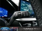 Ford Focus Turnier bei Gebrauchtwagen.expert - Abbildung (13 / 15)