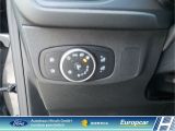Ford Focus ST bei Gebrauchtwagen.expert - Abbildung (8 / 15)