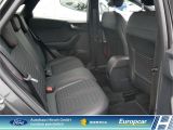 Ford Puma bei Gebrauchtwagen.expert - Abbildung (12 / 15)