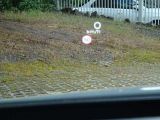 Nissan Qashqai bei Gebrauchtwagen.expert - Abbildung (11 / 15)