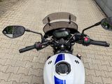 Suzuki 650 bei Gebrauchtwagen.expert - Abbildung (11 / 11) Suzuki 650 bei Gebrauchtwagen.expert - Abbildung (11 / 11)