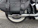 Harley-Davidson Softail bei Gebrauchtwagen.expert - Abbildung (4 / 11) Harley-Davidson Softail bei Gebrauchtwagen.expert - Abbildung (4 / 11)