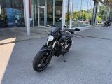 Yamaha MT bei Gebrauchtwagen.expert - Abbildung (7 / 14)