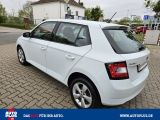 Skoda Fabia bei Gebrauchtwagen.expert - Abbildung (5 / 15)