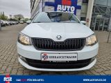 Skoda Fabia bei Gebrauchtwagen.expert - Abbildung (13 / 15)