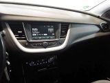 Opel Grandland X bei Gebrauchtwagen.expert - Abbildung (8 / 11)