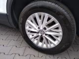 VW T-Roc bei Gebrauchtwagen.expert - Abbildung (15 / 15)