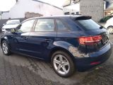 Audi A3 bei Gebrauchtwagen.expert - Abbildung (4 / 14)