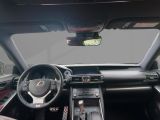 Lexus IS bei Gebrauchtwagen.expert - Abbildung (7 / 15)