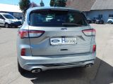 Ford Kuga bei Gebrauchtwagen.expert - Abbildung (4 / 14)