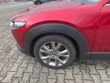 Mazda CX-30 bei Gebrauchtwagen.expert - Abbildung (9 / 9)