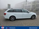 Skoda Octavia bei Gebrauchtwagen.expert - Abbildung (8 / 15)