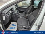 Skoda Octavia bei Gebrauchtwagen.expert - Abbildung (14 / 15)
