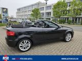Audi A3 Cabriolet bei Gebrauchtwagen.expert - Abbildung (9 / 15) Audi A3 Cabriolet bei Gebrauchtwagen.expert - Abbildung (9 / 15)
