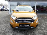Ford EcoSport bei Gebrauchtwagen.expert - Abbildung (8 / 15)