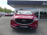 Mazda CX 5 bei Gebrauchtwagen.expert - Abbildung (8 / 15)