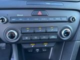 Kia Sportage bei Gebrauchtwagen.expert - Abbildung (14 / 15)