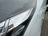 Renault Trafic bei Gebrauchtwagen.expert - Abbildung (14 / 15)