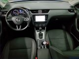 Skoda Octavia bei Gebrauchtwagen.expert - Abbildung (5 / 13)