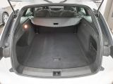 Opel Insignia bei Gebrauchtwagen.expert - Abbildung (11 / 15)
