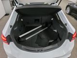 Ford Mondeo bei Gebrauchtwagen.expert - Abbildung (11 / 15)