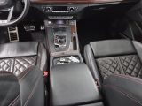 Audi SQ5 bei Gebrauchtwagen.expert - Abbildung (6 / 15)