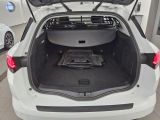 Renault Megane bei Gebrauchtwagen.expert - Abbildung (11 / 15)