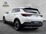 Opel Grandland X bei Gebrauchtwagen.expert - Abbildung (7 / 15)