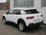 Citroen C4 Cactus bei Gebrauchtwagen.expert - Abbildung (4 / 15)