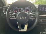 Kia Ceed bei Gebrauchtwagen.expert - Abbildung (14 / 15)