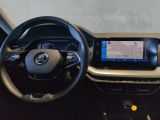 Skoda Octavia bei Gebrauchtwagen.expert - Abbildung (6 / 15)