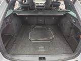 Skoda Octavia bei Gebrauchtwagen.expert - Abbildung (12 / 15)