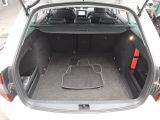 Skoda Octavia bei Gebrauchtwagen.expert - Abbildung (11 / 15)