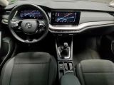 Skoda Octavia bei Gebrauchtwagen.expert - Abbildung (5 / 15)