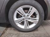 Opel Insignia bei Gebrauchtwagen.expert - Abbildung (10 / 15) Opel Insignia bei Gebrauchtwagen.expert - Abbildung (10 / 15)