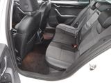 Skoda Octavia bei Gebrauchtwagen.expert - Abbildung (12 / 15)