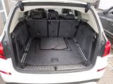 BMW X3 bei Gebrauchtwagen.expert - Abbildung (12 / 15) BMW X3 bei Gebrauchtwagen.expert - Abbildung (12 / 15)