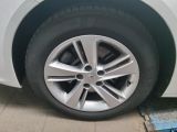 Opel Insignia bei Gebrauchtwagen.expert - Abbildung (10 / 15)