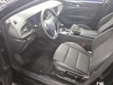 Opel Insignia bei Gebrauchtwagen.expert - Abbildung (8 / 15)