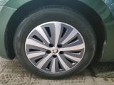 Skoda Superb bei Gebrauchtwagen.expert - Abbildung (11 / 15)