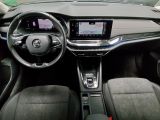 Skoda Octavia bei Gebrauchtwagen.expert - Abbildung (5 / 15)