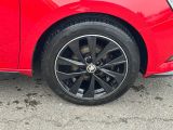 Skoda Fabia bei Gebrauchtwagen.expert - Abbildung (13 / 15)