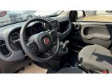 Fiat Panda bei Gebrauchtwagen.expert - Abbildung (10 / 15)