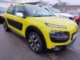Citroen C4 Cactus bei Gebrauchtwagen.expert - Abbildung (2 / 15)