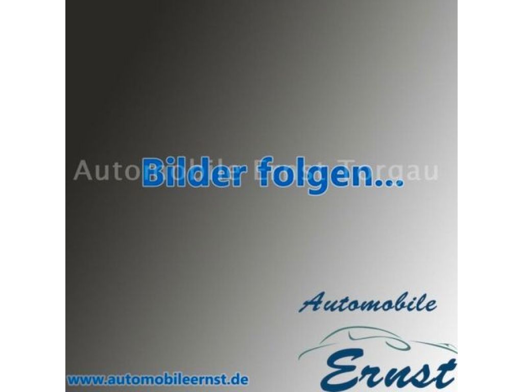 Peugeot 1007 bei Gebrauchtwagen.expert - Hauptabbildung