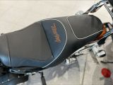 Harley-Davidson Sportster bei Gebrauchtwagen.expert - Abbildung (10 / 11)